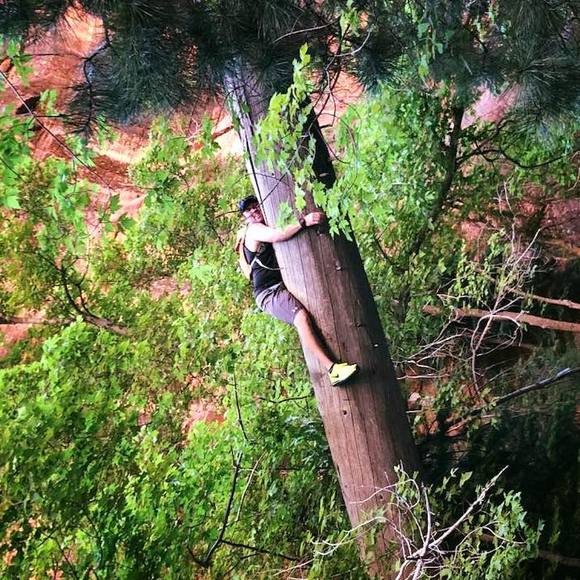 Meet your Posher, Will - Picture 1 of 1